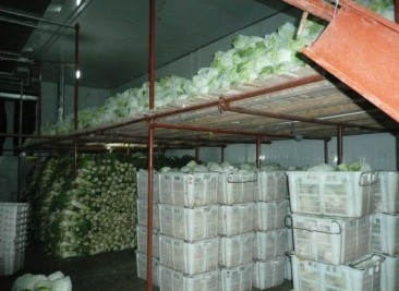 杭州食品冷庫(kù) 水產(chǎn)品冷鏈安全的守護(hù)者
